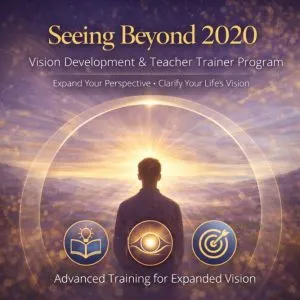 Seeing Beyond 2020
